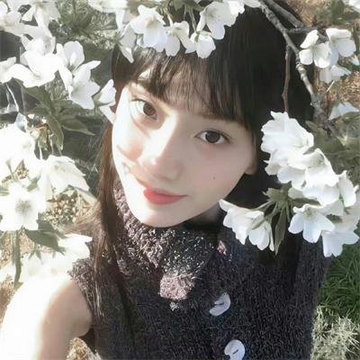 恋爱吧，食梦君！第二季